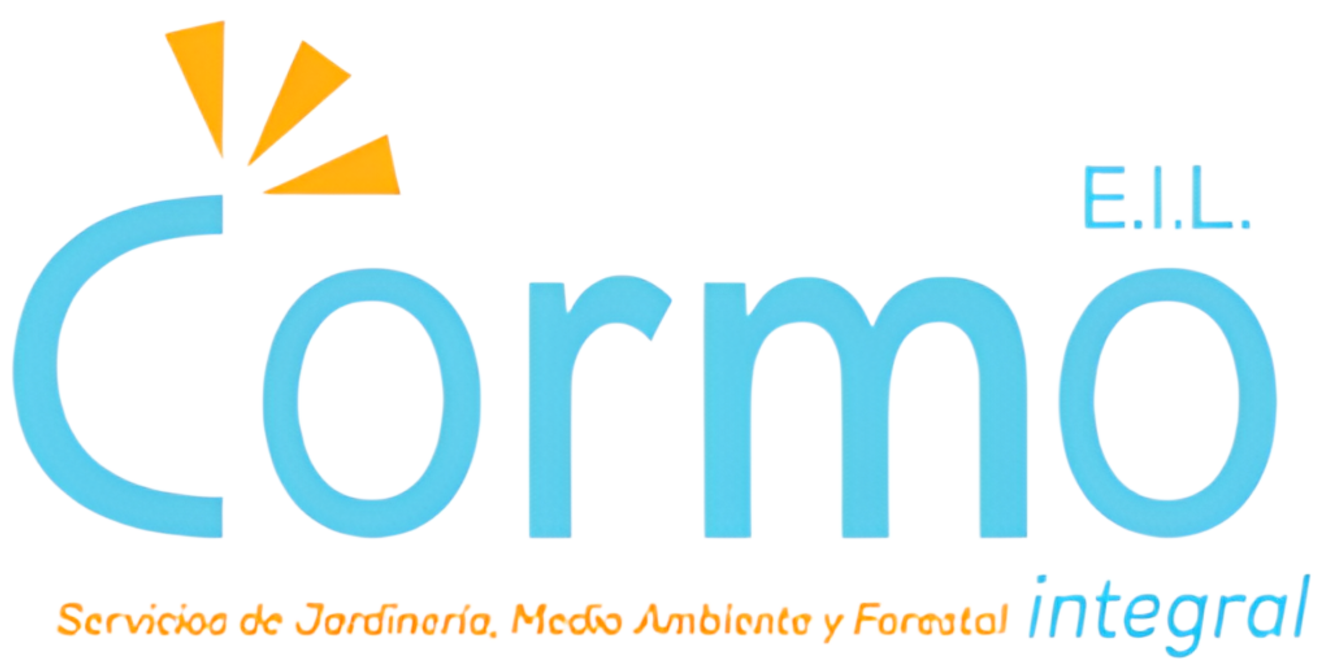 Logo Inicio